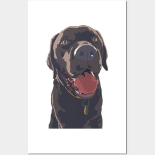 Chocolate Lab Posters and Art